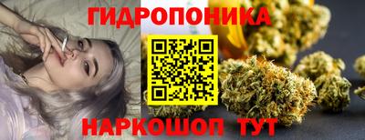 a pvp Краснокаменск