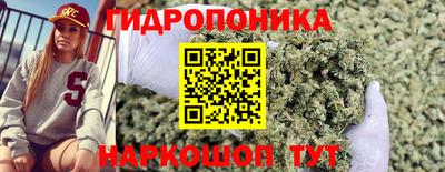 a pvp Краснокаменск