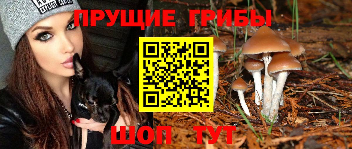Галлюциногенные грибы ЛСД Благовещенск