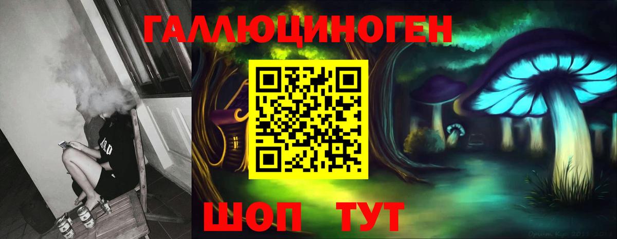 Благовещенск  Псилоцибиновые грибы Cubensis  магазин    Вход с VPN 
